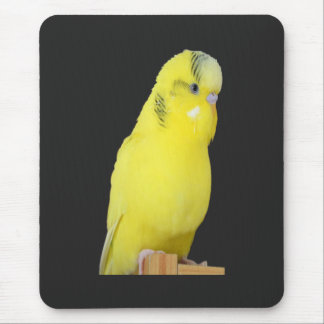 Mousepad niedlicher gelber Wellensittich