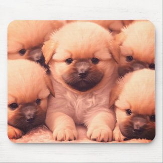 Mousepad Ninhada Fofa de Cachorrinhos no Computador Portáti