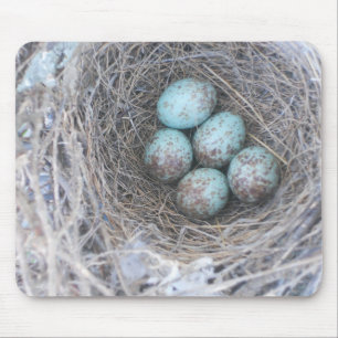 Mousepad Ninho de Bird com fotografia de ovos