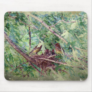 Mousepad Ninho de Cheio, Pais e Pássaros Bebês
