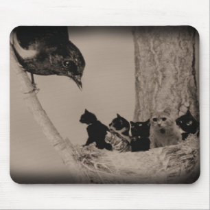 Mousepad Ninho dos gatos