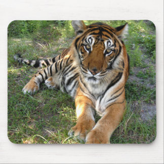 Mousepad nini 005