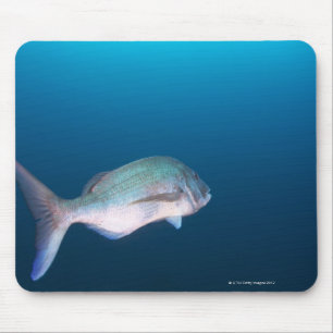 Mousepad Nishiizumachi, Shizuoka, Japão