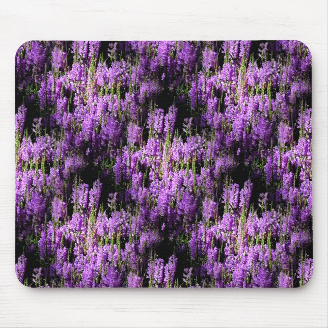 Mousepad No campo... (Frente)