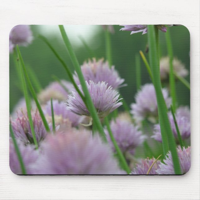 Mousepad no campo dos sonhos (Frente)