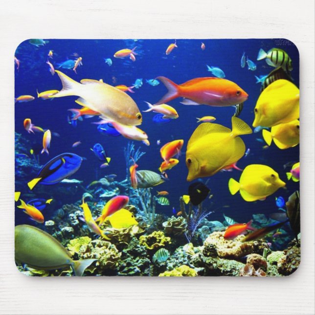 Mousepad No fundo do mar (Frente)