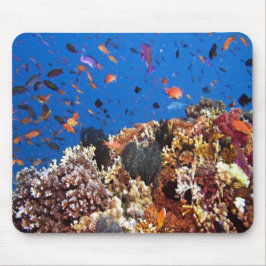 Mousepad No mar, cenas de peixes aquáticos