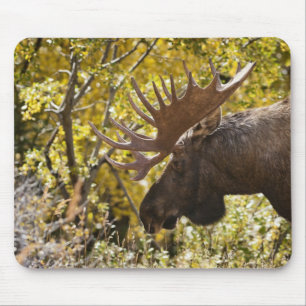 Mousepad Noble Bull Moose
