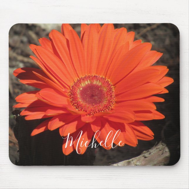 Mousepad Nome da Foto da Flor de Margarida Laranja (Frente)