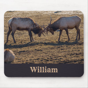 Mousepad Nome Personalizado da Elk Bull Sparing