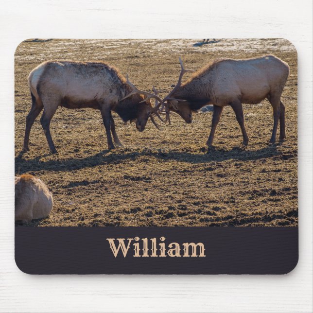 Mousepad Nome Personalizado da Elk Bull Sparing (Frente)