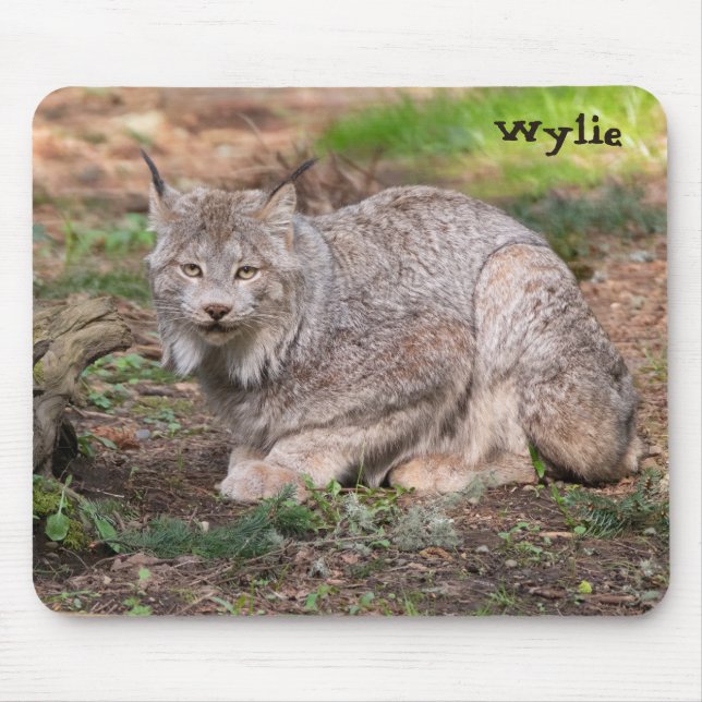 Mousepad Nome Personalizado do Lynx Nature Lover do Canadá (Frente)