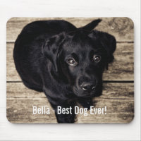 Nome preto personalizado da foto do cão do