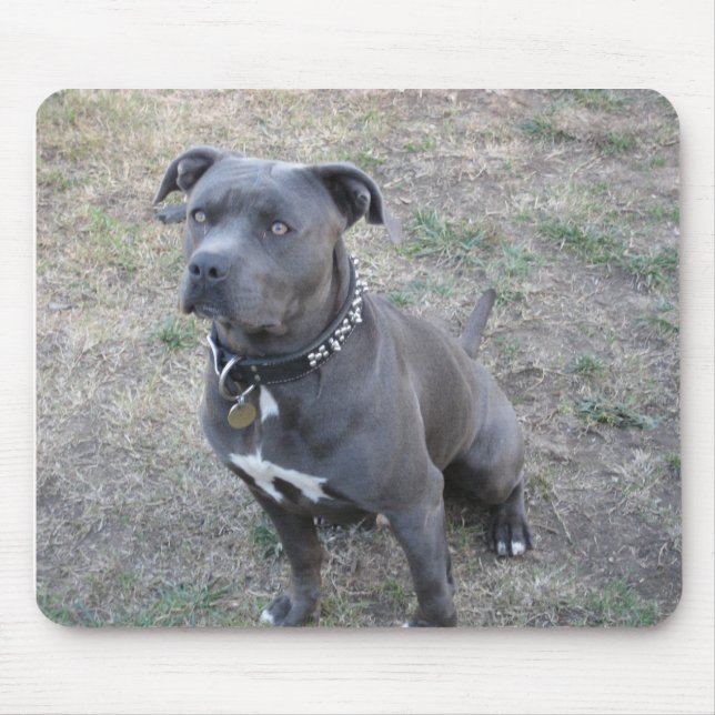 Mousepad Nomeie seu Mousepadsarge (Frente)