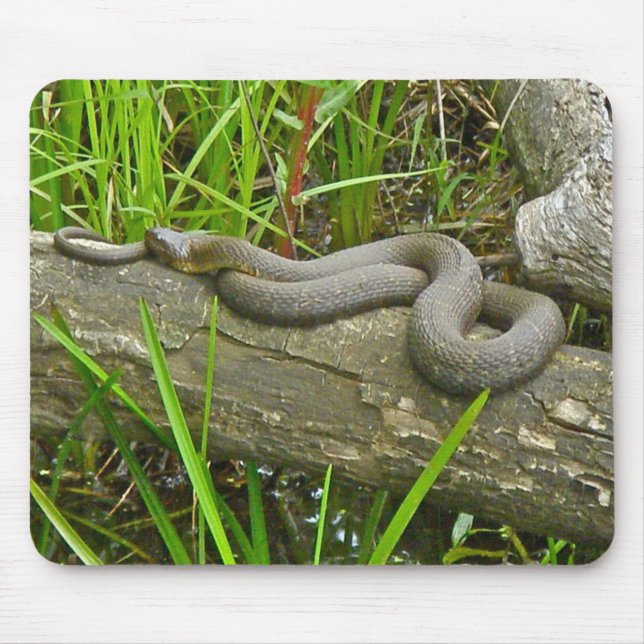 Mousepad Norte de Cobra de Água do  no Log de Vários Itens (Frente)