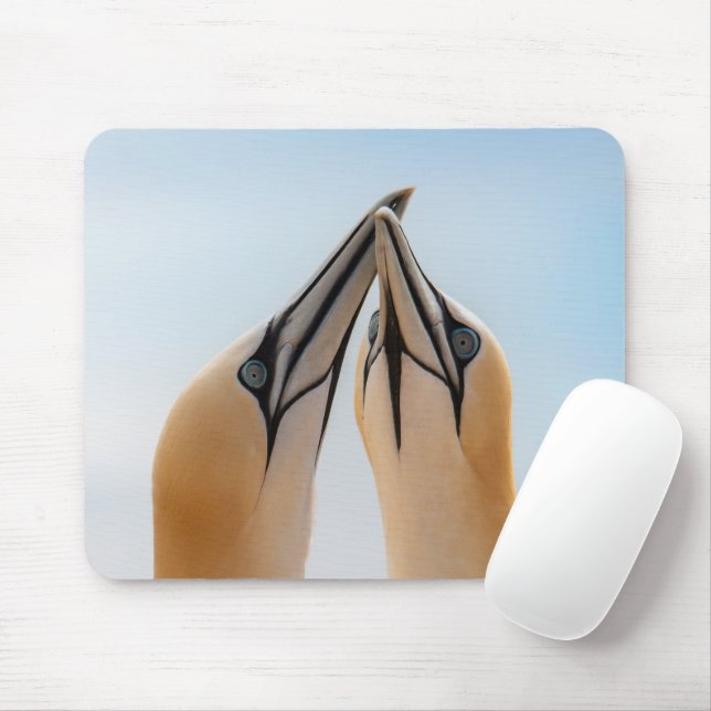Mousepad Norte Gannets Heligoland Alemanha Morus Gel Mous (Com mouse)
