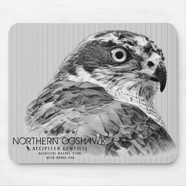Mousepad Norte Goshawk (Frente)