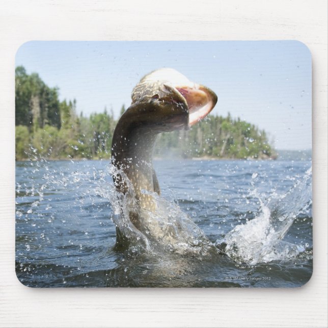 Mousepad Norte Pike saltando da água em um lago. (Frente)