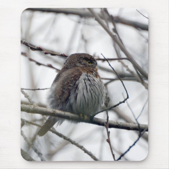 Mousepad Norte Pygmy Owl (Frente)