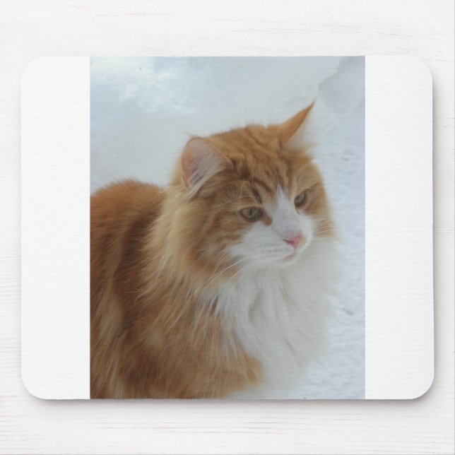 Mousepad Norueguês_Floresta_Cat (Frente)