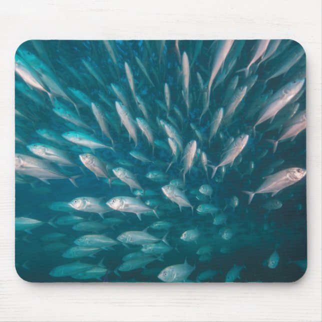 Mousepad Nos jaques (Frente)