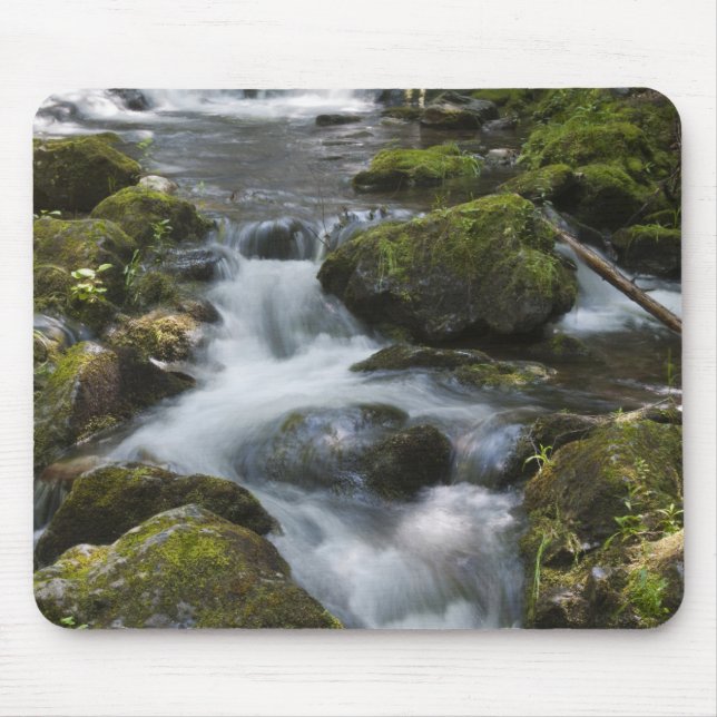 Mousepad Nova Brunswick, Canadá. Dickson Falls em Fundy (Frente)