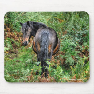 Mousepad Nova floresta Pony & Bracken para amantes de caval