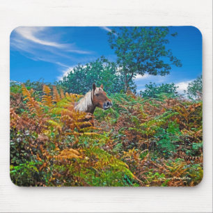 Mousepad Nova floresta Pony & Bracken para amantes de caval