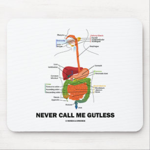 Mousepad Nunca chame-me Gutless (o humor do sistema