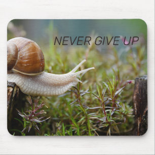 Mousepad NUNCA DESISTA - edição de caracol