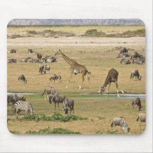 Mousepad Ñus, Zebras e Girafas