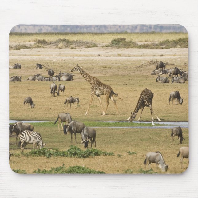 Mousepad Ñus, Zebras e Girafas (Frente)