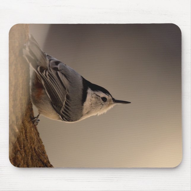 Mousepad Nuthatch_Mousepad (Frente)