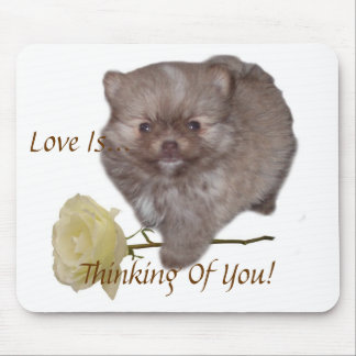 Mousepad O amor de Zeus Pomeranian das flores está pensando