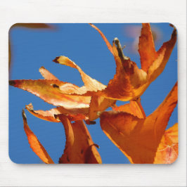 Mousepad O Autumn Deixa O Mouse
