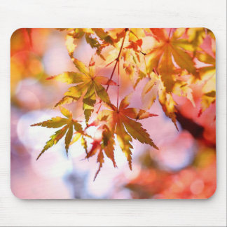 Mousepad O Autumn Deixa O Mouse