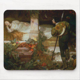 Mousepad O Bela Adormecida (Príncipe Encantado e Sua Prince
