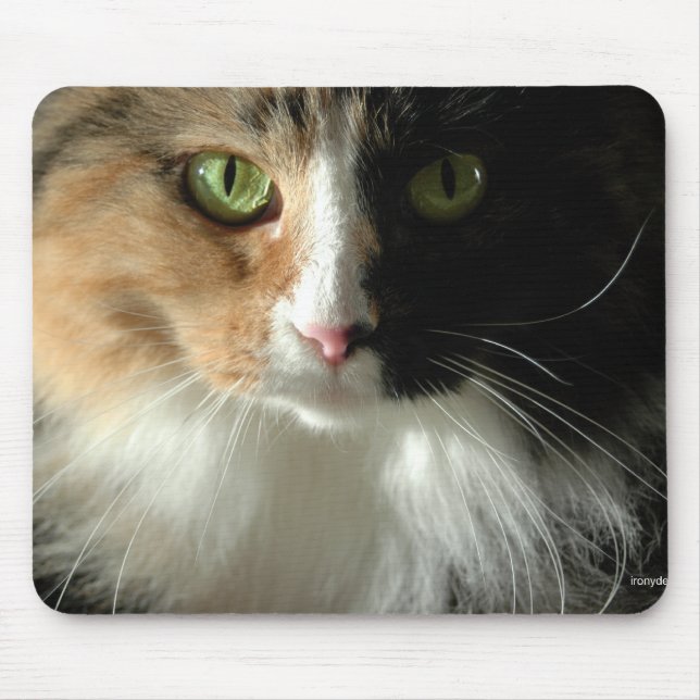 Mousepad O Bloco de Olhos do Gato (Frente)