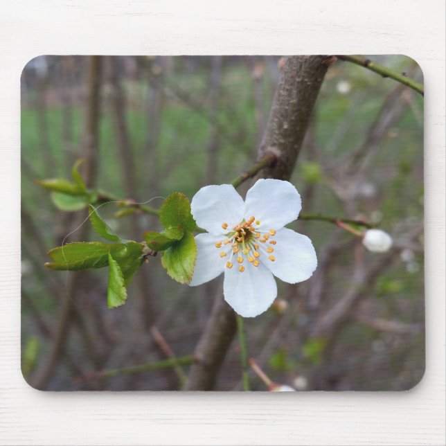 Mousepad O branco da primavera (Frente)