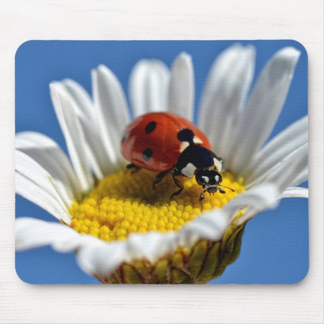 Mousepad O bug da Daisy Mug (Frente)