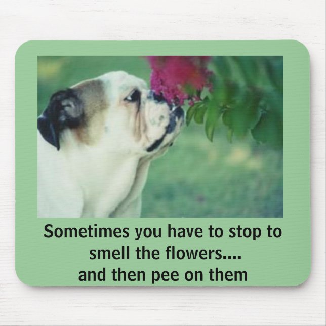 Mousepad O buldogue e o rosa (Frente)