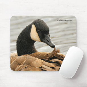 Mousepad O Canadá ganha no lago