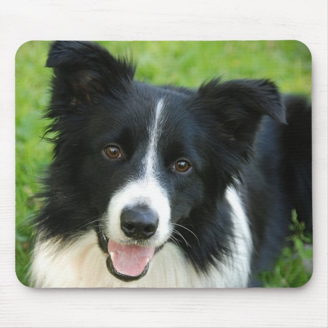 Mousepad O cão de border collie adiciona o animal de (Frente)