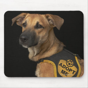 Mousepad O cão do salvamento de Brown com adota-me veste