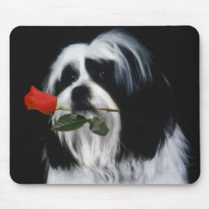 Mousepad O Cão Shih Tzu