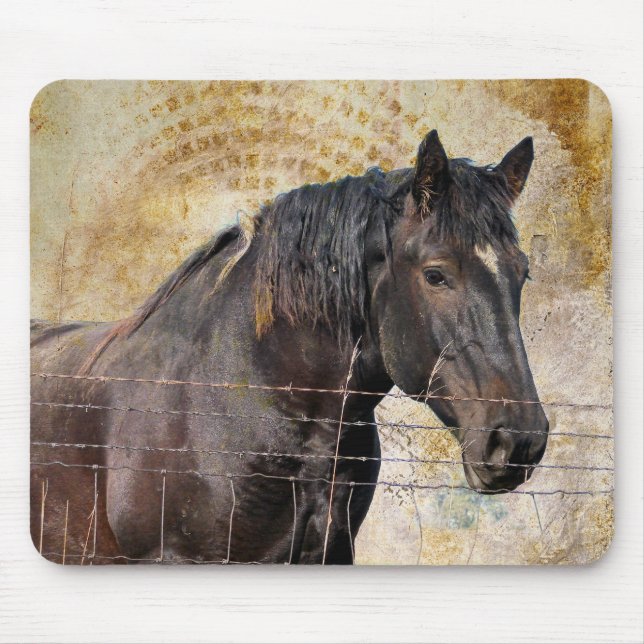 Mousepad O Cavalo Gentil, Um Cavalo de Corda (Frente)