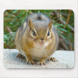 Mousepad O Chipset Bonito Está De Olho Em Você