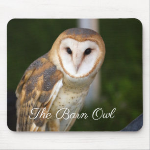 Mousepad O Coruja do Barn