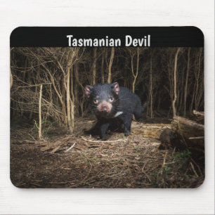 Mousepad O demônio da Tasmânia na Austrália
