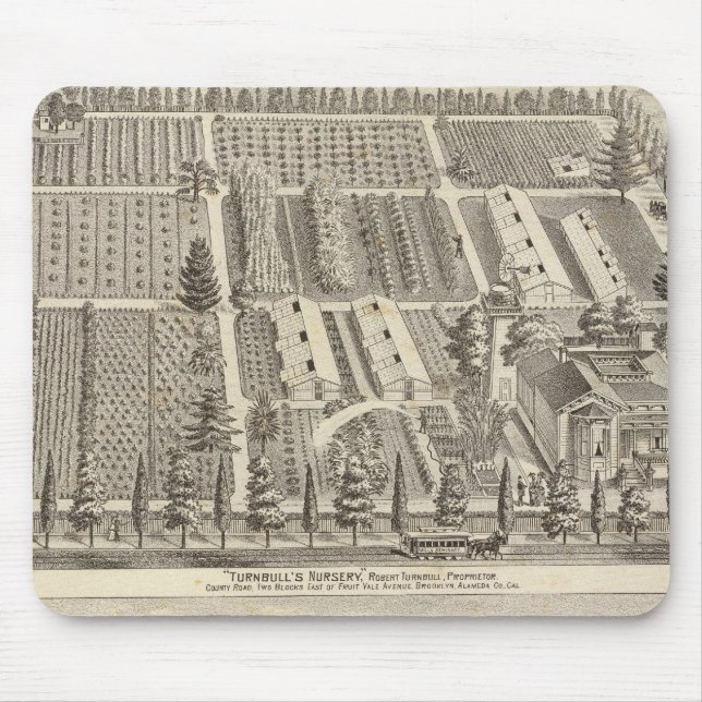 Mousepad O Enfermeiro de Turnbull, Fitch res (Frente)